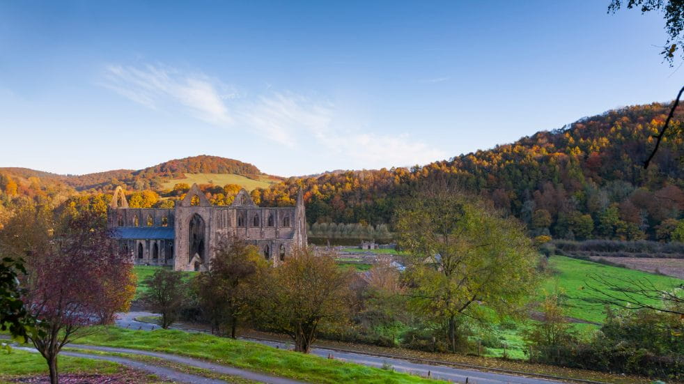 Tintern Abbey surrounded by forest